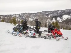 Зимние развлечения: снегоходы и квадроциклы