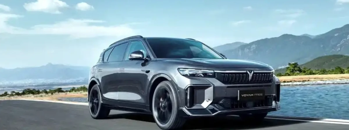 ФИКСИРОВАННАЯ СТОИМОСТЬ ЗА ПОКРАСКУ ЛЮБОЙ ДЕТАЛИ ВАШЕГО VOYAH