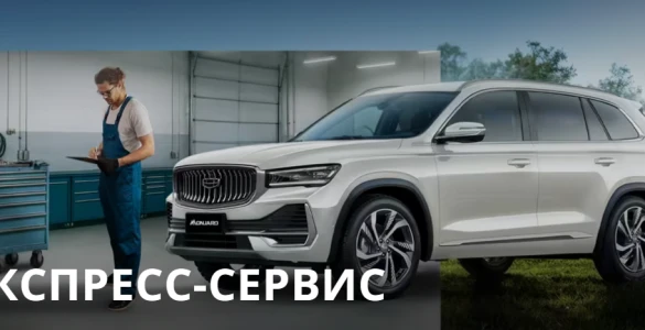 Быстрый сервис GEELY