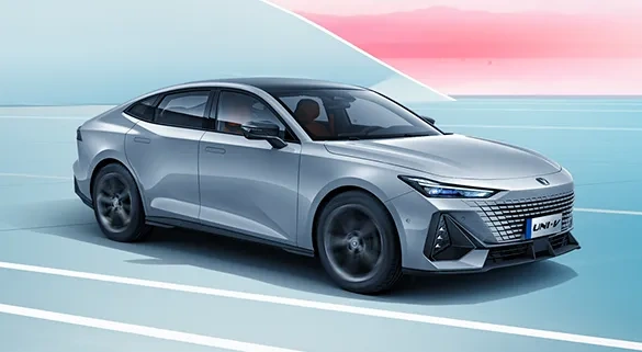 Красота снаружи, мудрость внутри, элегантность в каждом движении