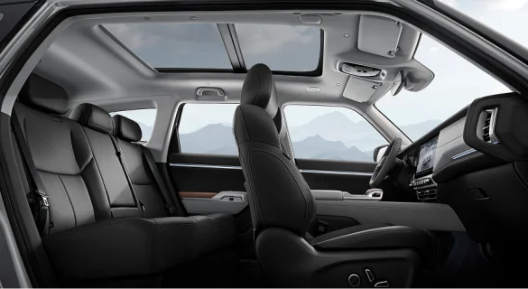 Отделка потолка черного цвета