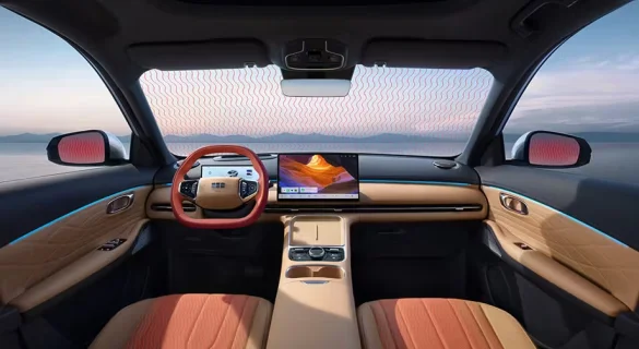 Зимние опции