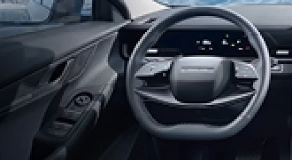 Многофункциональный руль