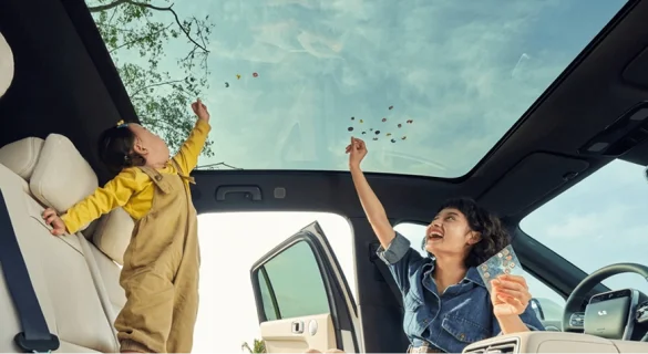 Панорамная крыша