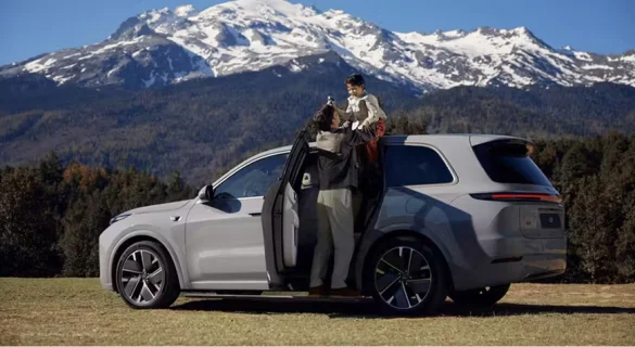 Подножки с электроприводом