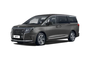 SOLLERS SP7 Подробнее SOLLERS SP7