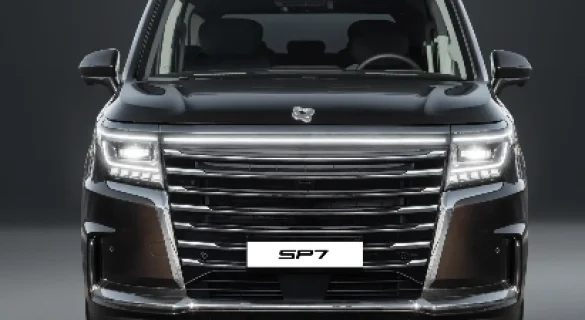 Сопровождающий свет