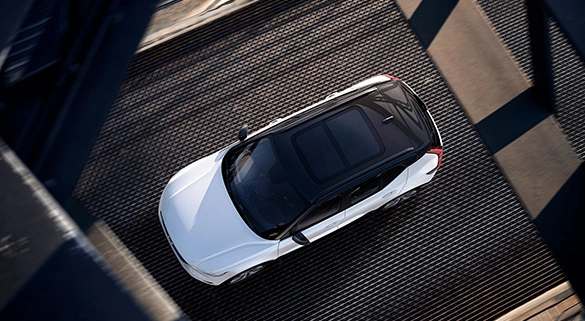 Взгляд в небо